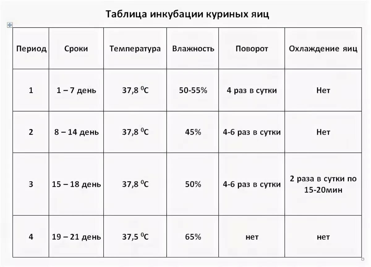 Инкубация куриных яиц таблица. Таблица инкубации бройлеров Кобб 500 в инкубаторе. Режим инкубации куриных яиц в инкубаторе таблица. Инкубация куриных яиц несушек таблица. Температура в инкубаторе для куриных яиц таблица.