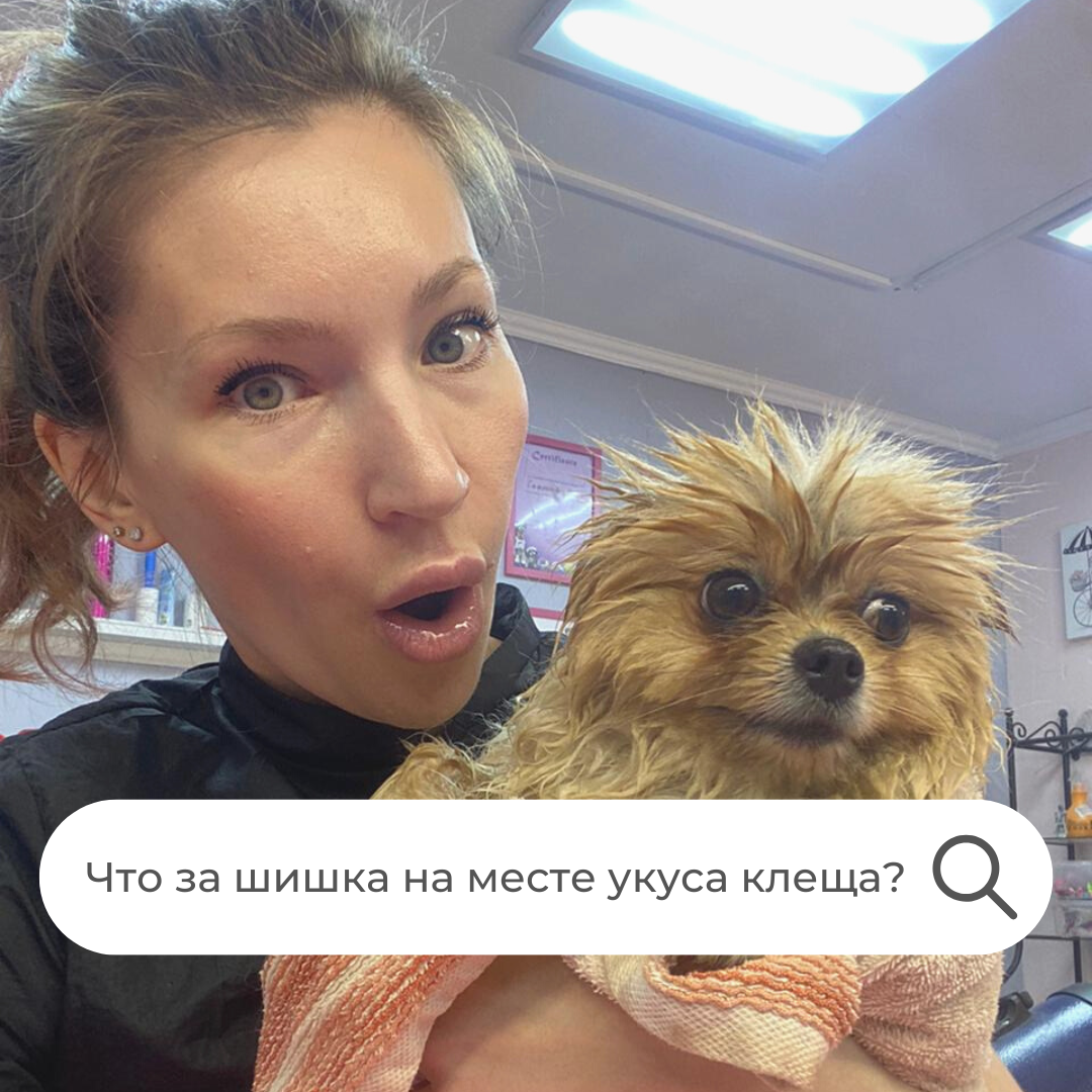 Ответ ветеренара