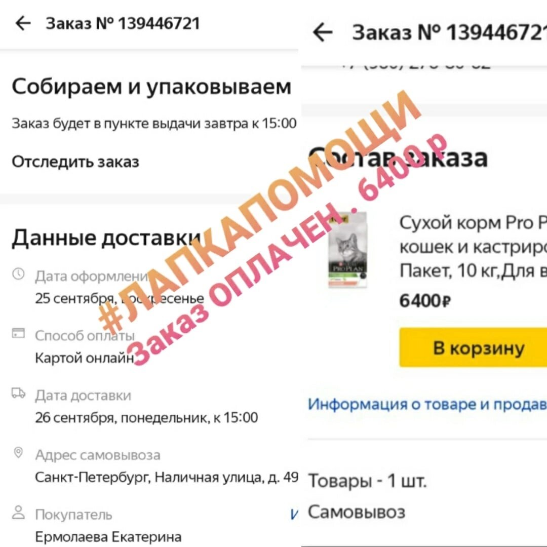 © ВСЕ ОТТЕНКИ КОШАЧЬЕГО 