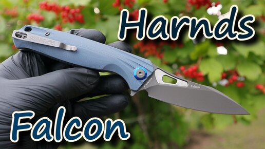 Harnds Falcon. Китайский сокол 🦉