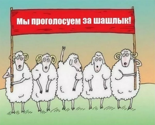 Из интернета. Не из жизни же!