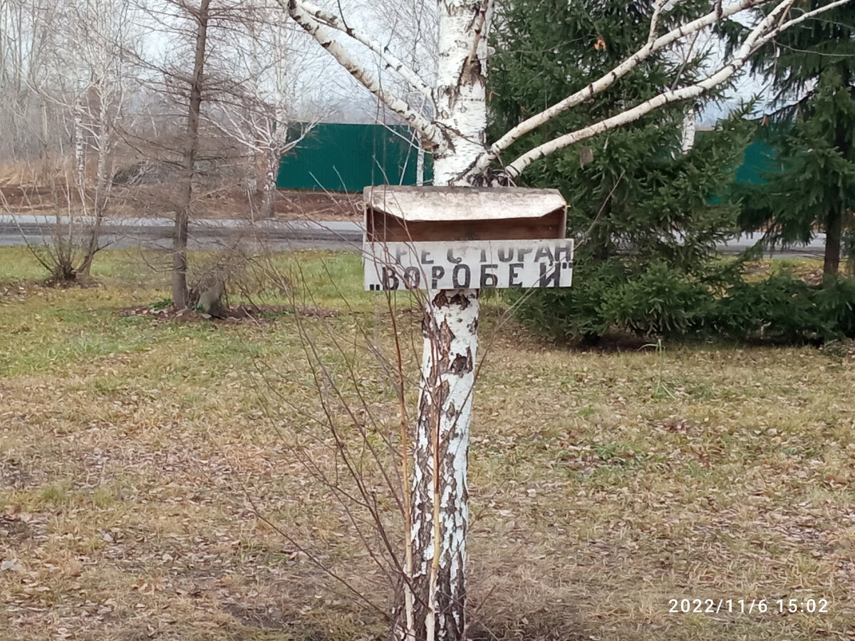 Ресторан Воробей. Находится около детской железной дороги, как к озеру идти. Кемеровчане поймут, остальным остаётся только завидовать))