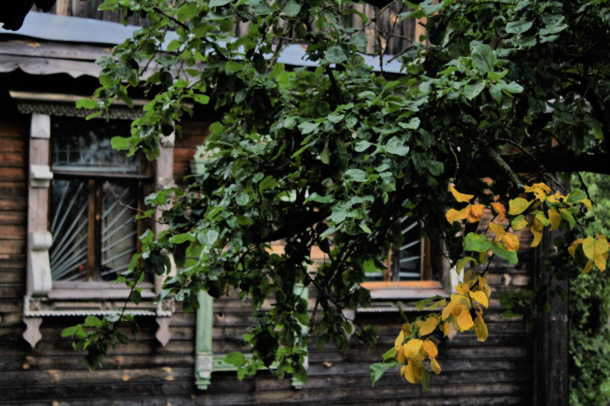 Музей деревенской архитектуры. Листайте фото ,чтобы увидеть больше.