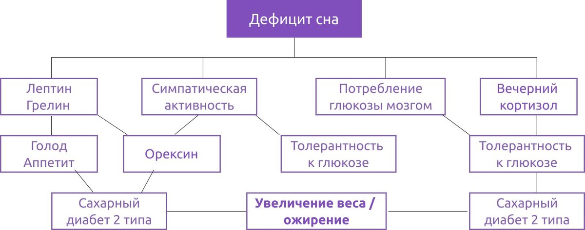 Как худеть и поддерживать вес, не считая калории