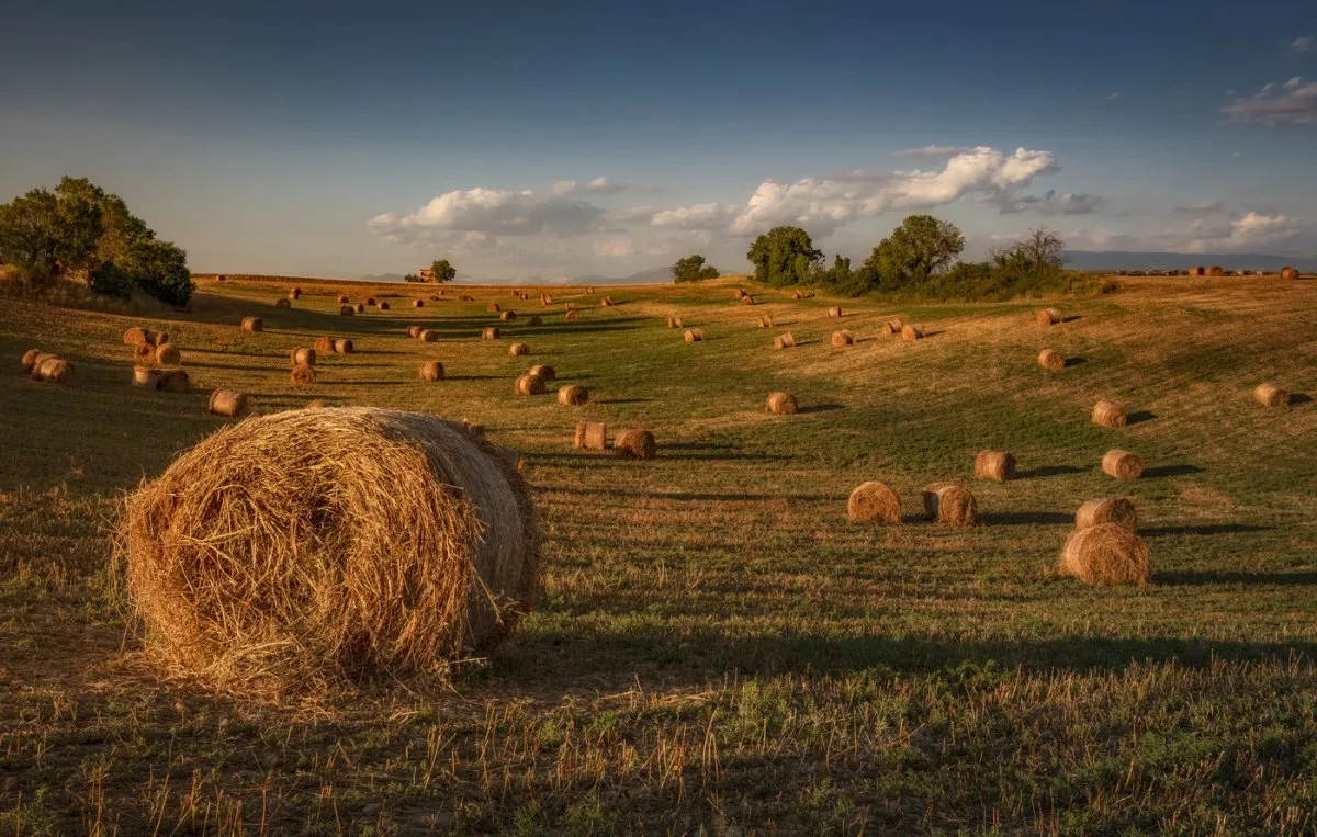 Источник фото: mobillegends.net