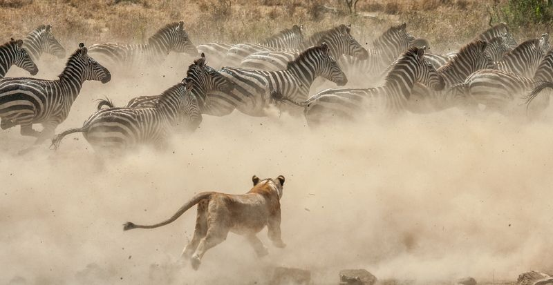 ����� ������� � ��������� ������ �������.