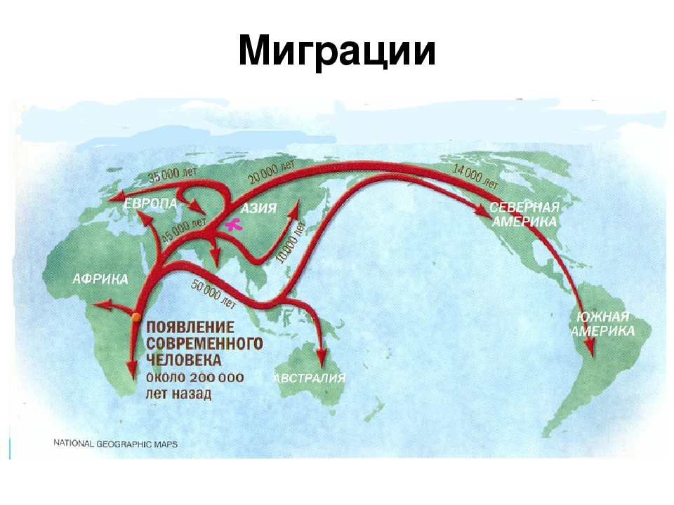 Карта расселения кроманьонцев. Расселение первых людей из Африки. Карта миграции древних людей. Карта переселения народов в Америку. Как происходит расселение