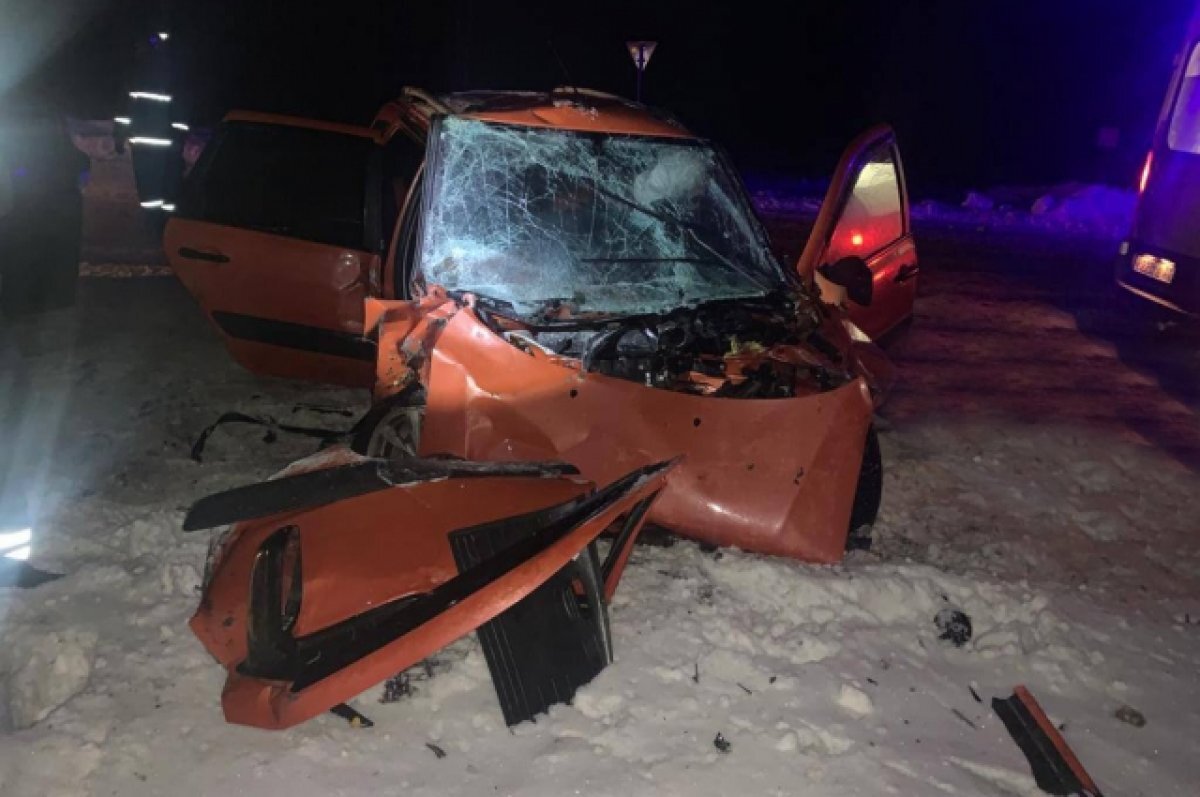    В Гороховецком районе завели уголовное дело после гибели трёх человек в ДТП