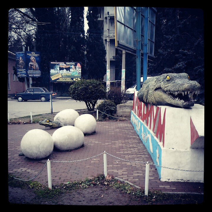 Крокодилы у аквариума на троллейбусном кольце по пути к набережной