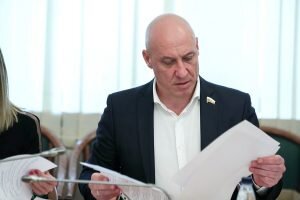   Фото: duma.gov.ru Ирина Амелина