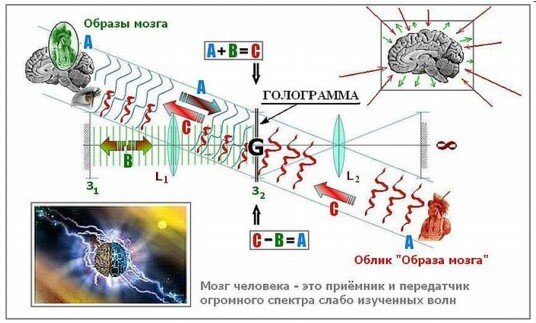 Наш мозг голограмма