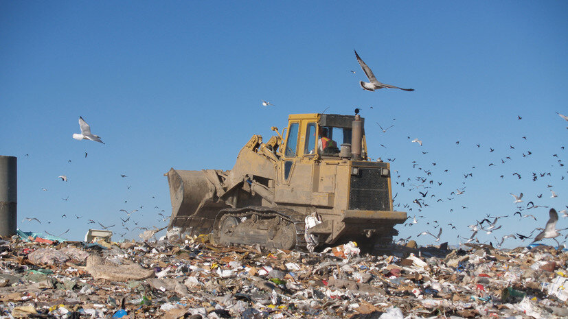    Фото: ecopravda.ru