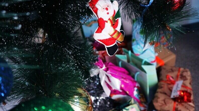     У женщины не было особого фитосанитарного сертификата, разрешающего ввоз деревьев в Россию, сообщили на сайте Россельхознадзора.