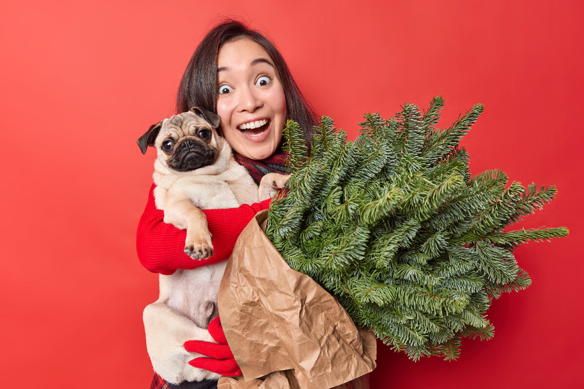 <a href="https://ru.freepik.com/free-photo/cheerful-optimistic-female-pet-lover-embraces-pug-dog-with-love-holds-green-spruce-branches-wrapped-in-paper-enjoys-winter-time-isolated-over-vivid-red-background-people-domestic-animals-concept_23764972.htm#page=2&query=%D0%BF%D0%BE%D0%B4%D0%B0%D1%80%D0%BA%D0%B8&position=17&from_view=search&track=sph">Изображение от wayhomestudio</a> на Freepik