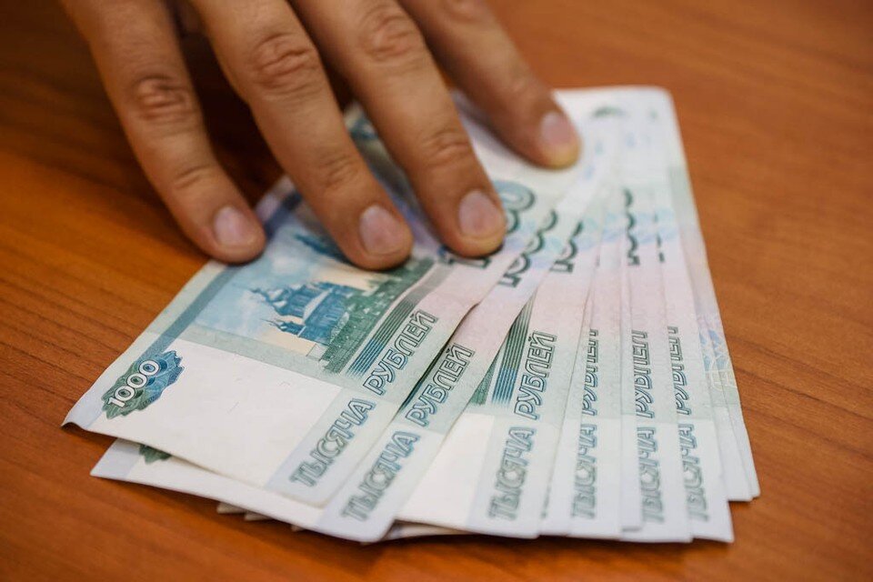     Желание купить щенка оставило без денег Светлана МАКОВЕЕВА