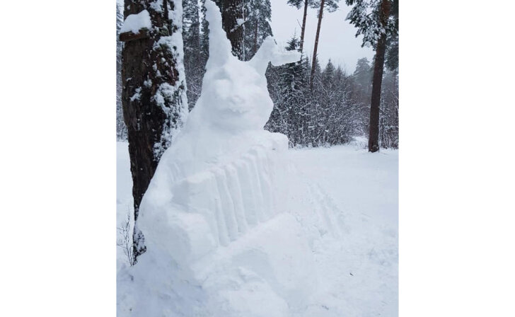    Группа «Белые Берега»