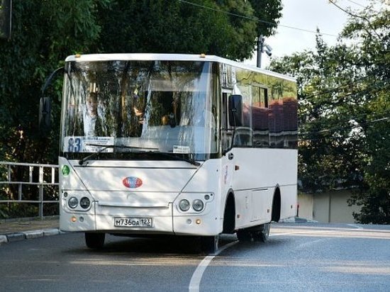     Фото пресс-службы администрации Сочи