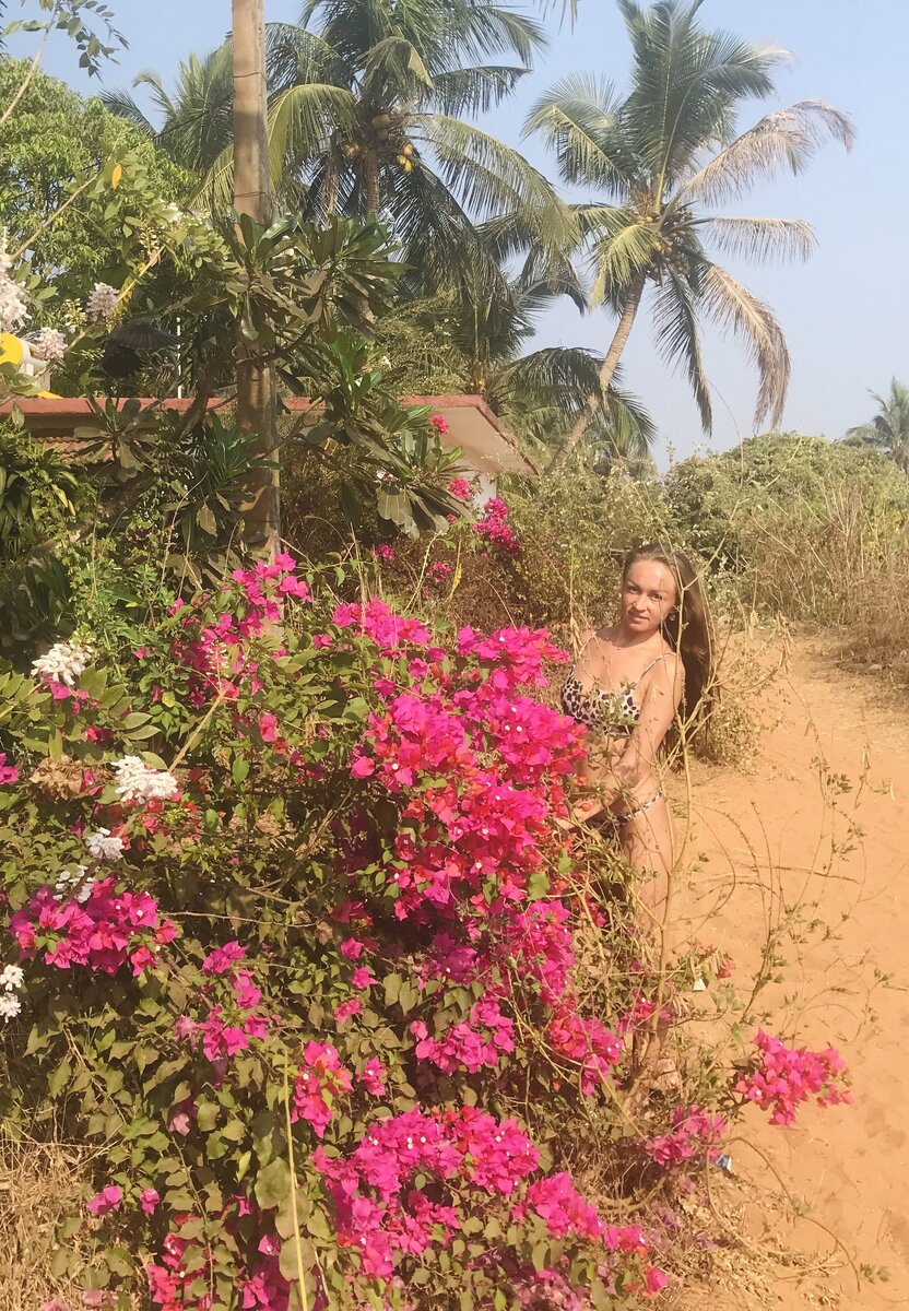 Калангут - Арпора