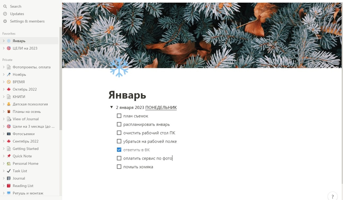 Еще 2 января что-то пошло не так. Планирование встало. А хомяк так и не помыт