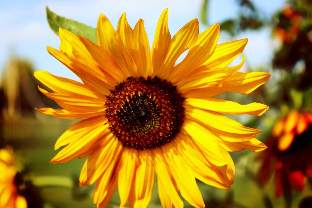 Фото автора канала