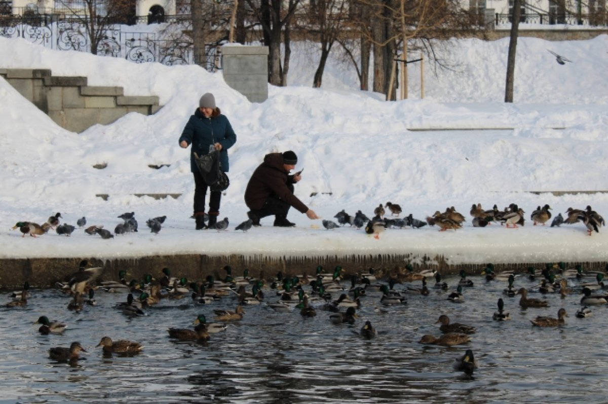    О погоде на неделю рассказала главный синоптик Свердловской области