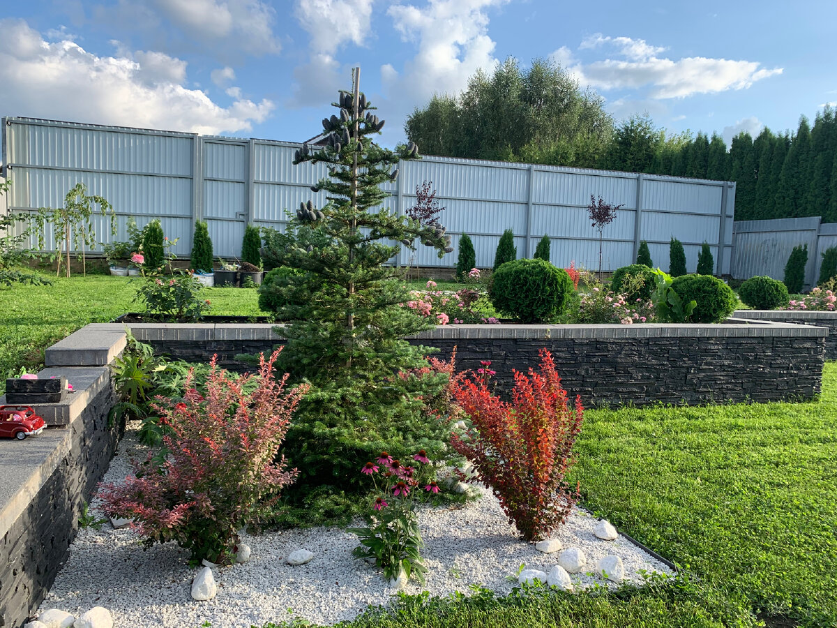 Ещё один пример отсыпка каменной крошкой. Фото из моего сада