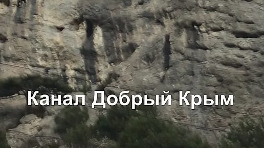 Добрый Крым. | Ролики — короткие видео