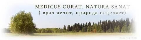 "Главные признаки правильного лечения любого заболевания"