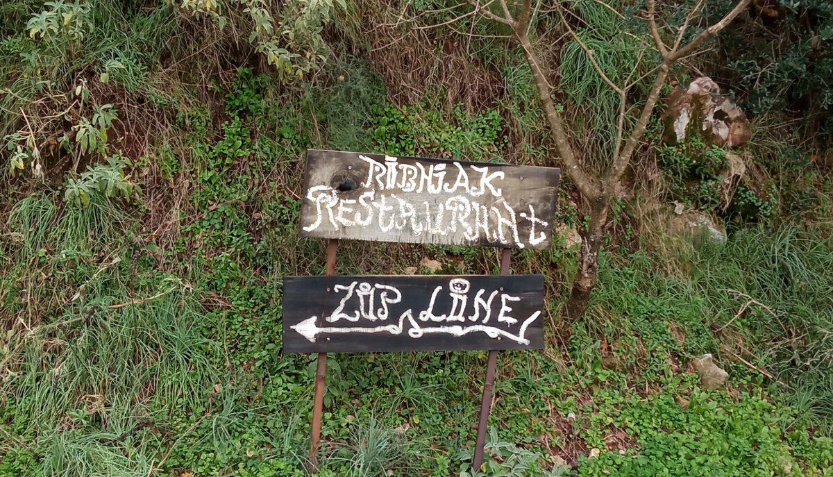 номер индийской визы. рабочая виза. виза в канаду 2022. электронная виза. виза в россию.