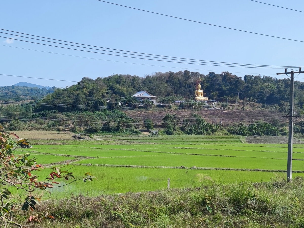 Какие-то поля 