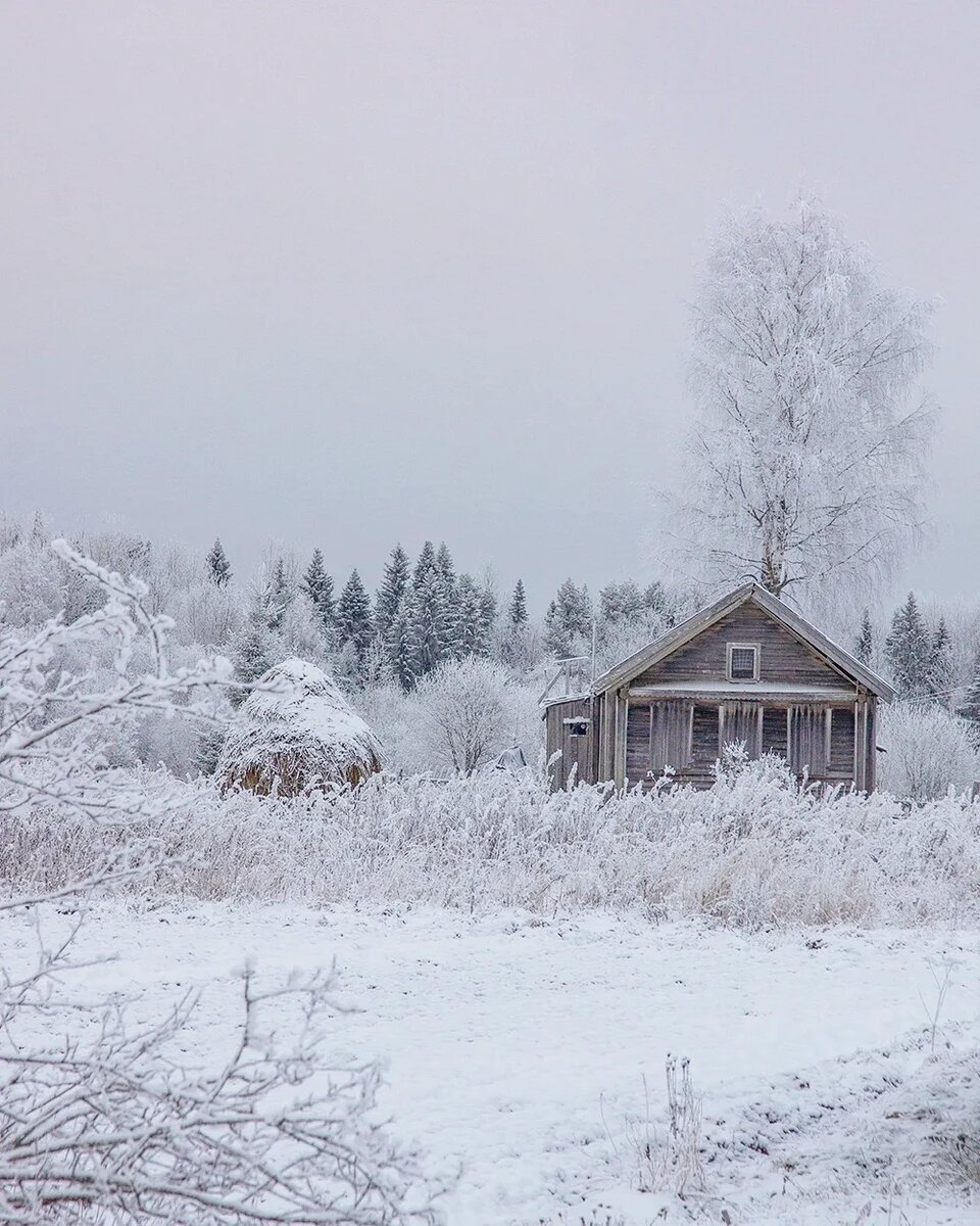 Деревенские фотокартины | Петр Косых | Дзен
