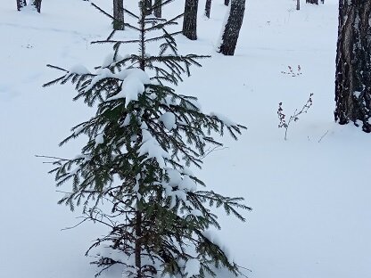 Фотография из личного архива автора