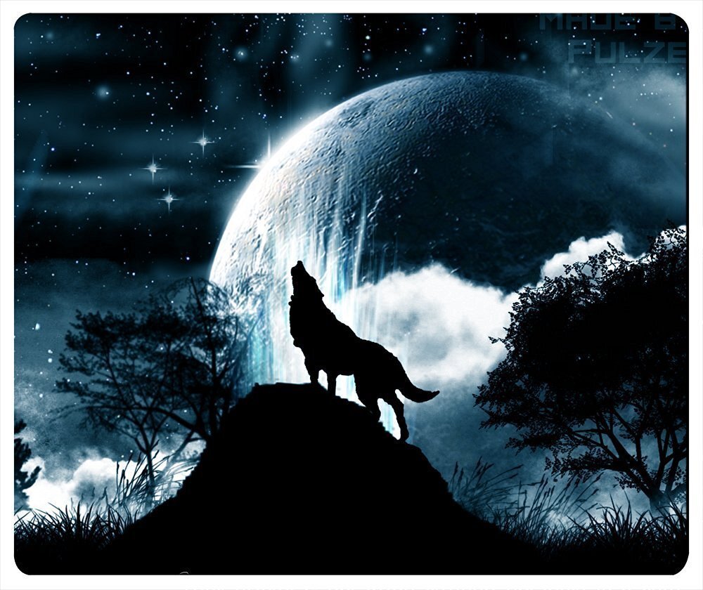 Волк и луна картинки