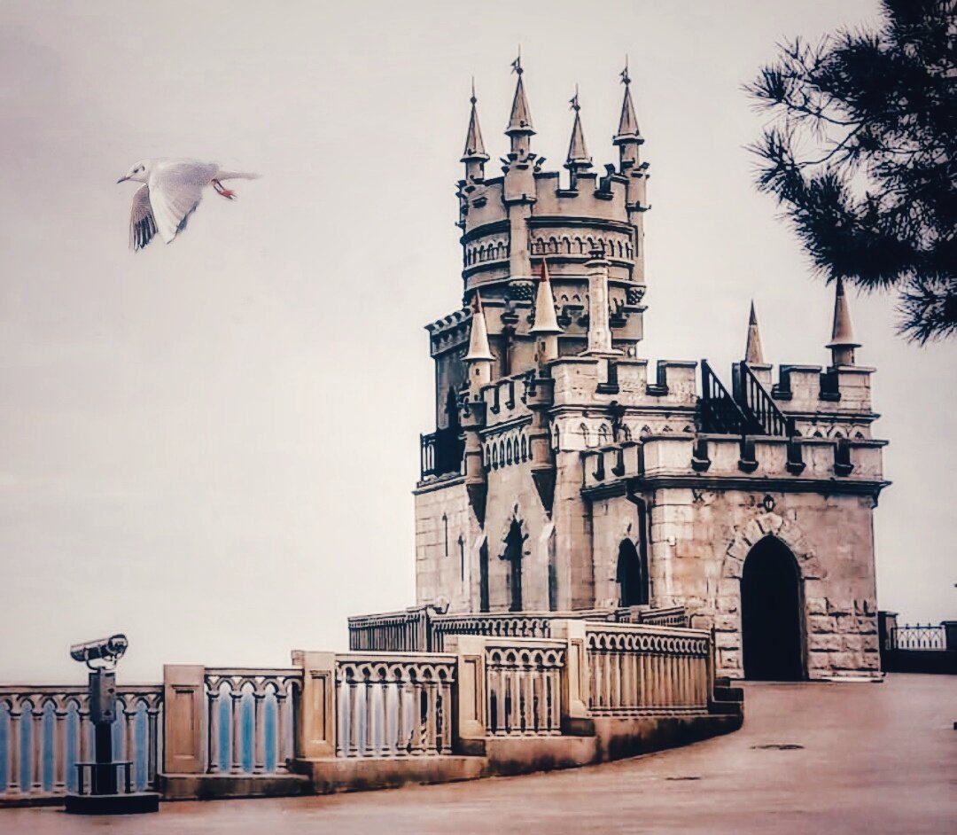 Ласточки тут тоже бывают конечно, но чаще всего чайки😉