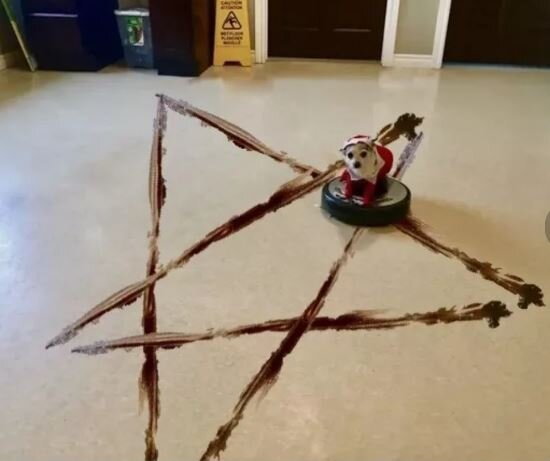 Картинка взята с просторов Яндекса