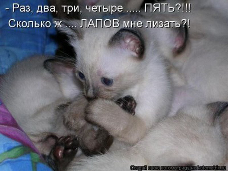 Та ж так. Та ж так. 29 февраля день рождения приколы. Та ж так. Меня сглазили.