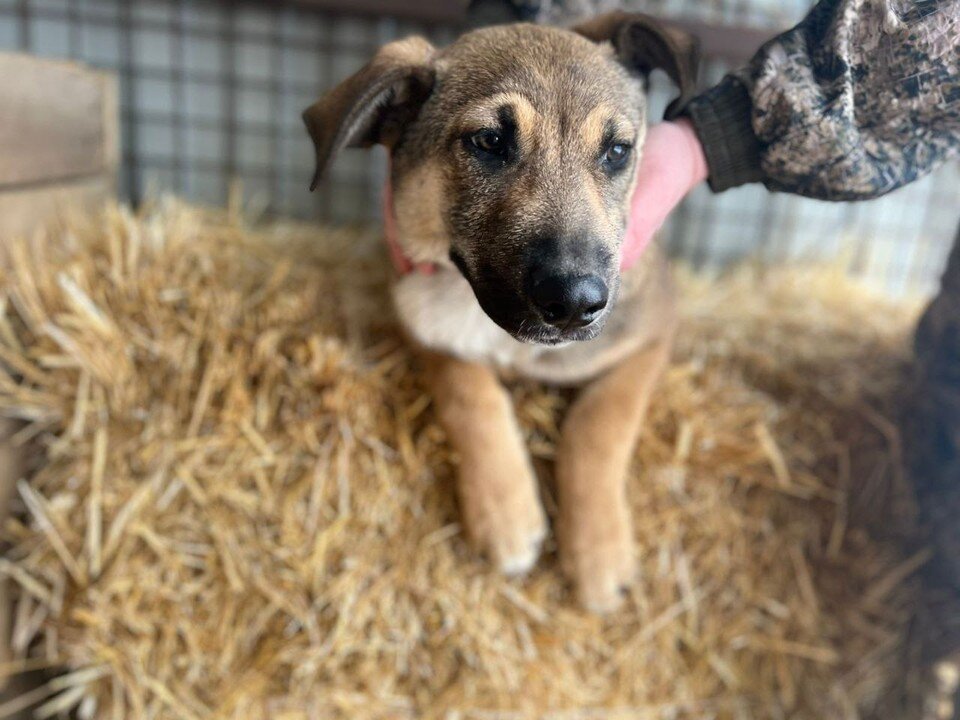     Фото: Наталья Миндрина.