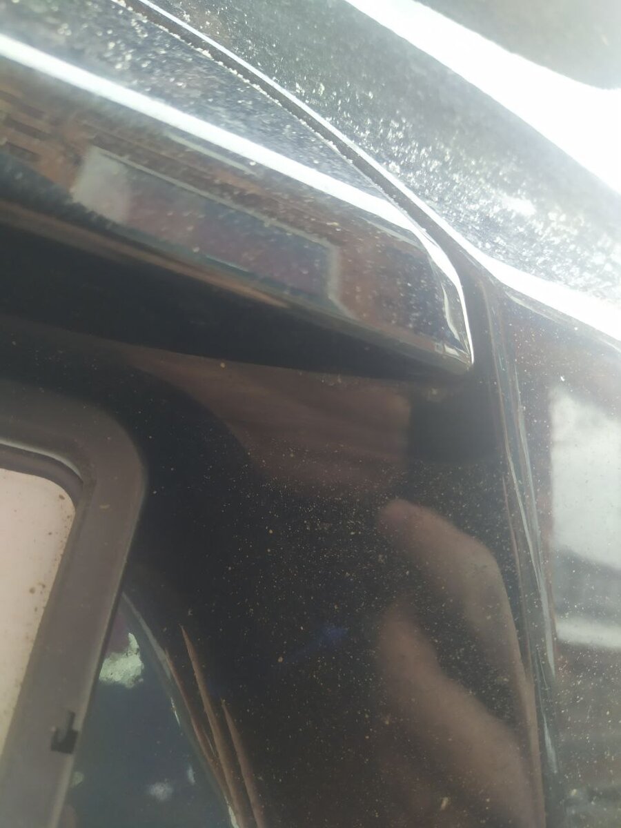 Выглядывает