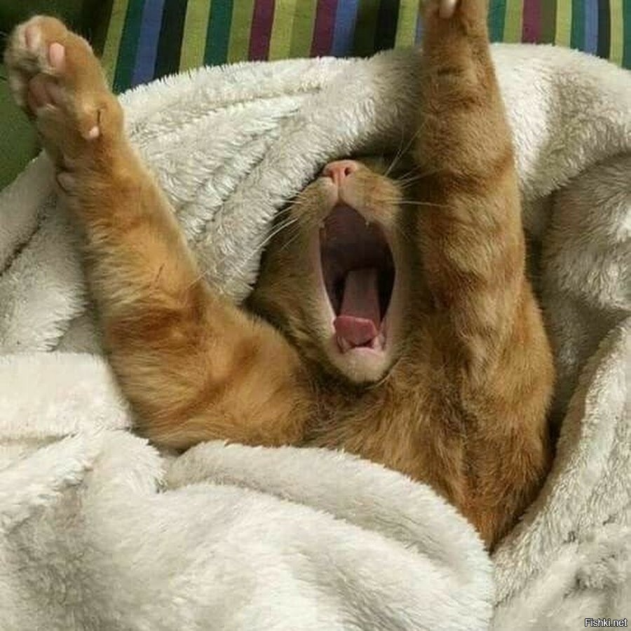 Источник: https://kartinkof.club/positiv/pyatnica/7136-kartinki-prosypajsja-pjatnica-41-foto.html