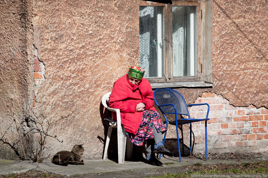 Фото: Алексей Милованов / Новый Калининград