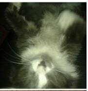 Фото из личного архива 