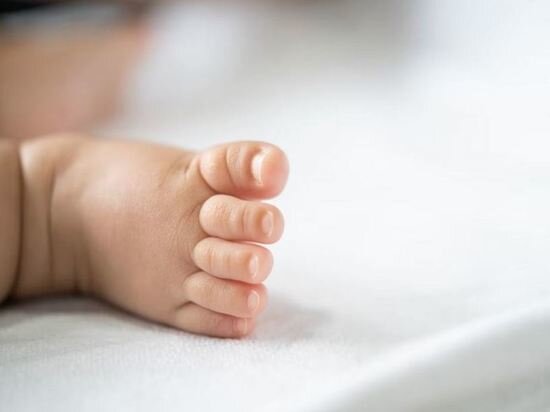     Фото: jcomp на freepik