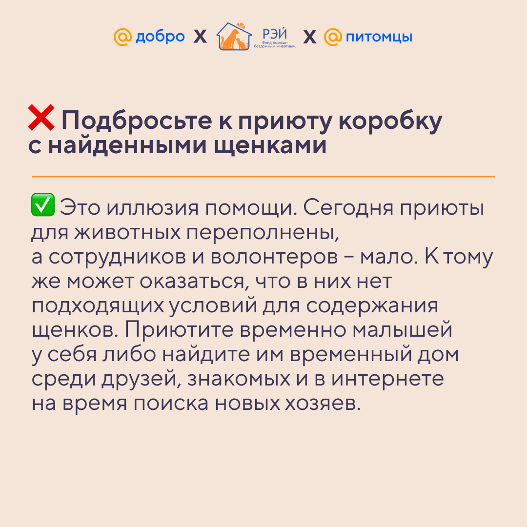 «Добро Mail.ru» и фонд «Рэй» составили подборку вредных советов и предложили способы, которые работают. Карточки с советами выпустили 17 февраля, в международный день спонтанного проявления доброты.-2-2