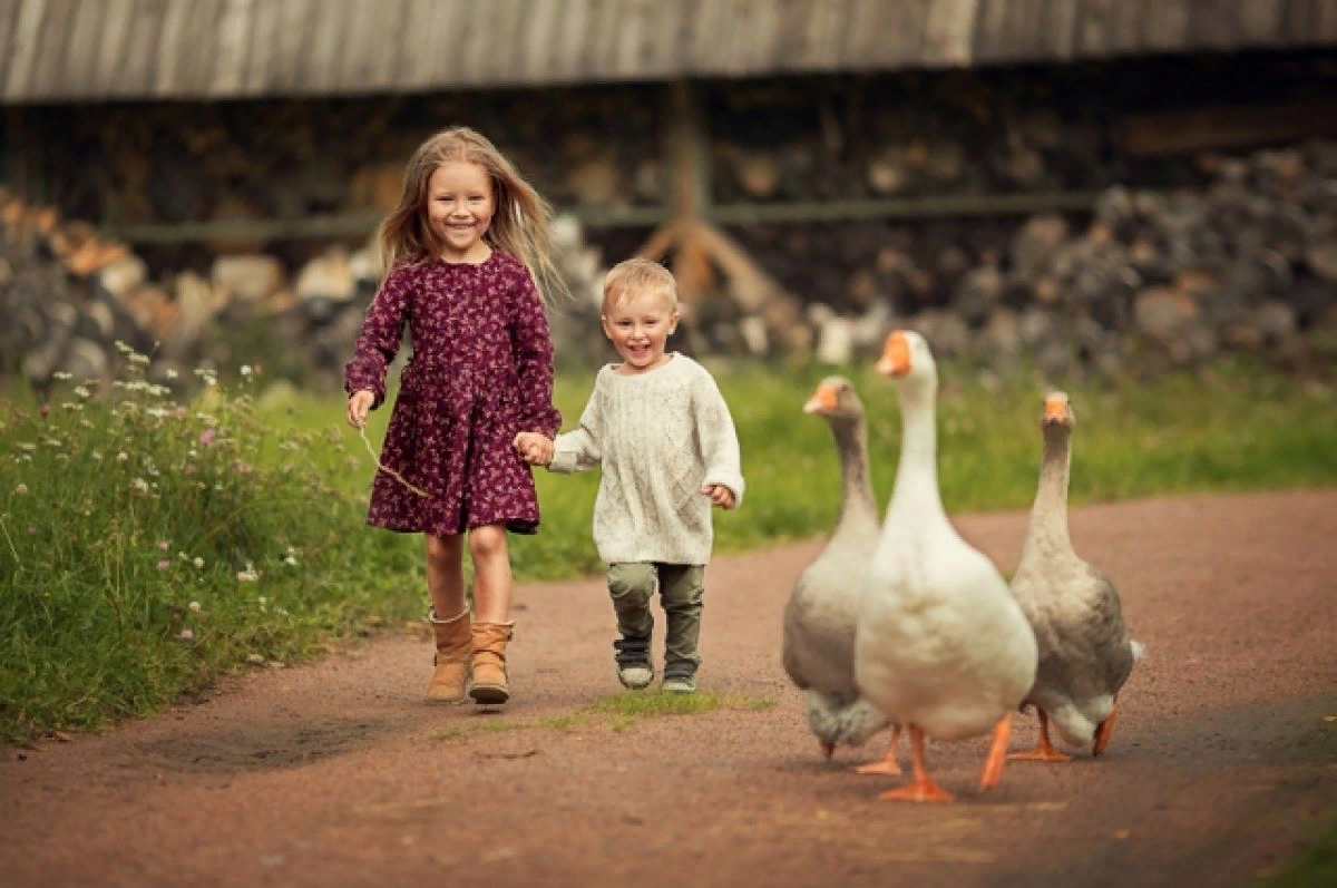 Фото из бесплатного доступа