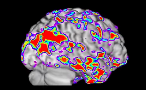 фото с публичного доступа
