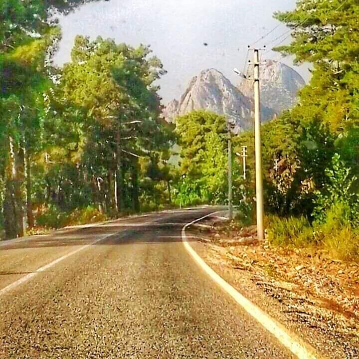 личный архив