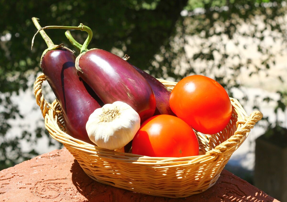 Это всё, что нам нужно +майонез