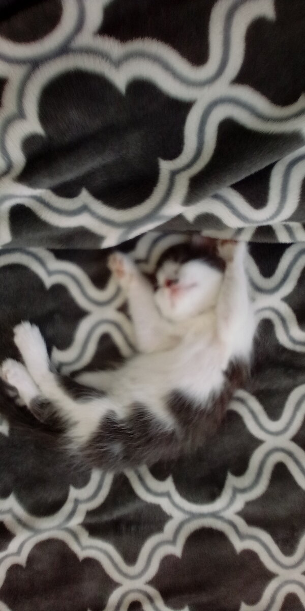 Майюша маскируется))))