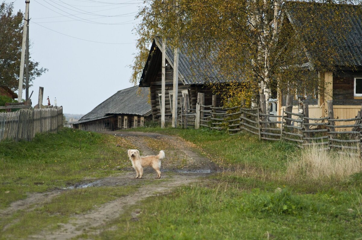 Вологодские деревни фото