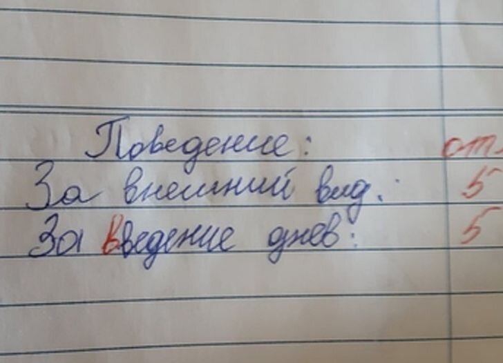 Куда вводить дневник?
